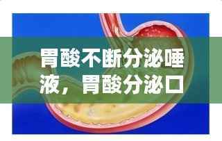 胃酸不断分泌唾液,胃酸分泌口水多