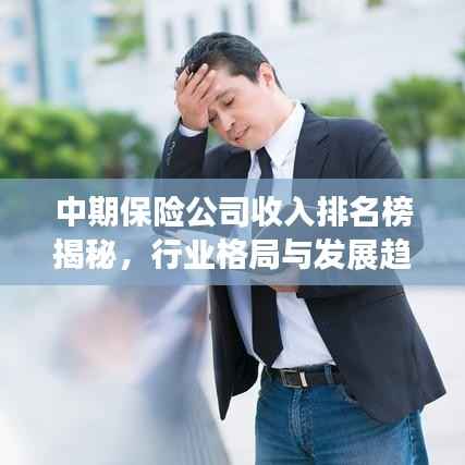 中期保险公司收入排名榜揭秘,行业格局与发展趋势全解析