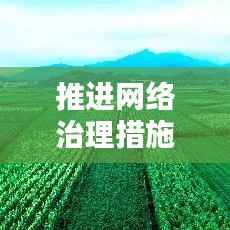 推进网络治理措施落实,网络治理建议