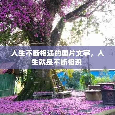 人生不断相遇的图片文字,人生就是不断相识