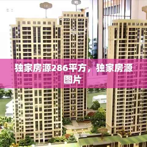 独家房源286平方,独家房源图片