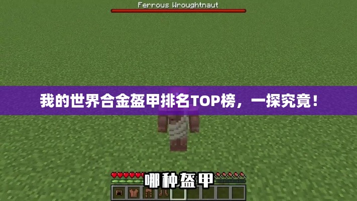 我的世界合金盔甲排名TOP榜,一探究竟!