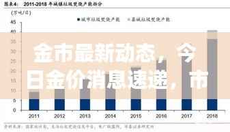 金市最新动态,今日金价消息速递,市场走势深度分析与预测