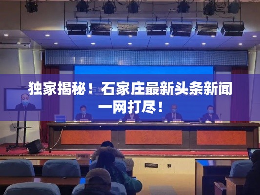 独家揭秘!石家庄最新头条新闻一网打尽!