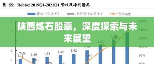 陕西炼石股票，深度探索与未来展望