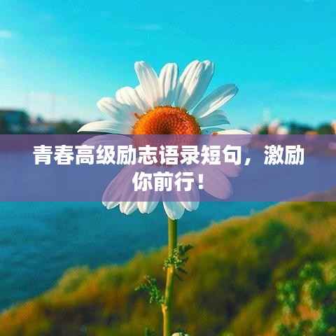 青春高级励志语录短句,激励你前行!