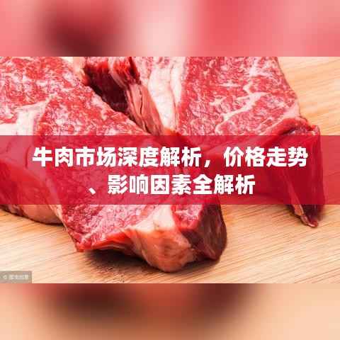 牛肉市场深度解析,价格走势、影响因素全解析