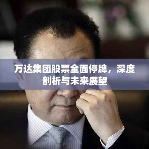 万达集团股票全面停牌,深度剖析与未来展望