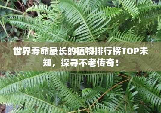 持之以恒 第3页