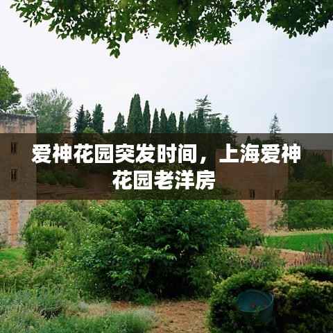 爱神花园突发时间,上海爱神花园老洋房