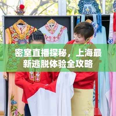 密室直播探秘,上海最新逃脱体验全攻略