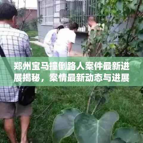 郑州宝马撞倒路人案件最新进展揭秘,案情最新动态与进展报告