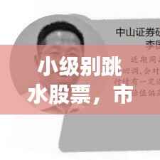 小级别跳水股票，市场波动中的机遇与挑战解析