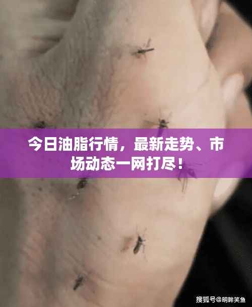 今日油脂行情，最新走势、市场动态一网打尽！