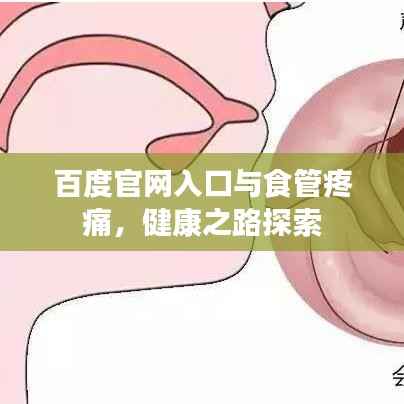 百度官网入口与食管疼痛,健康之路探索