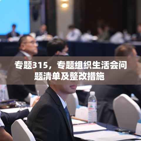 专题315,专题组织生活会问题清单及整改措施