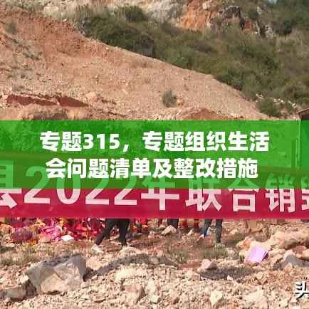 专题315,专题组织生活会问题清单及整改措施