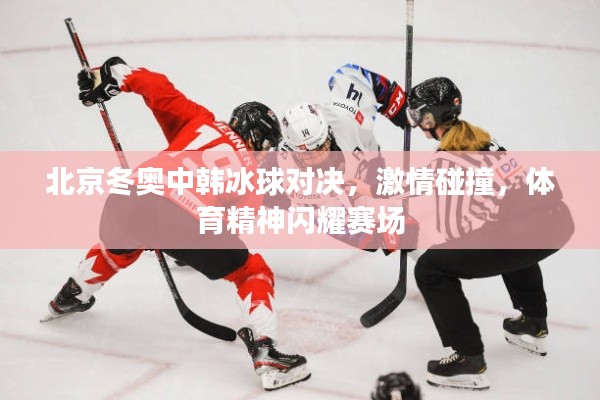 北京冬奥中韩冰球对决,激情碰撞,体育精神闪耀赛场