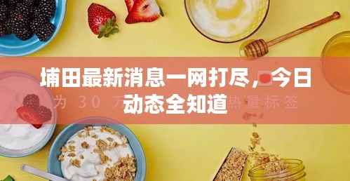埔田最新消息一网打尽,今日动态全知道