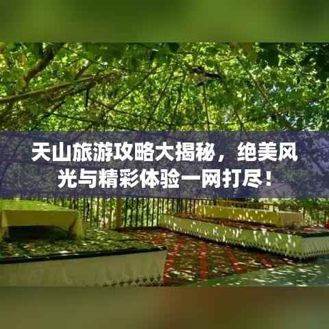 天山旅游攻略大揭秘,绝美风光与精彩体验一网打尽!