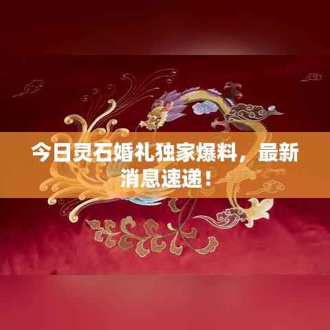 今日灵石婚礼独家爆料,最新消息速递!