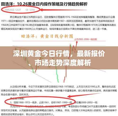 深圳黄金今日行情，最新报价、市场走势深度解析