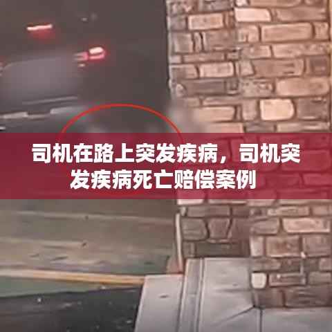 司机在路上突发疾病,司机突发疾病死亡赔偿案例