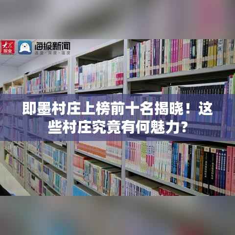 张皇铺饰 第3页