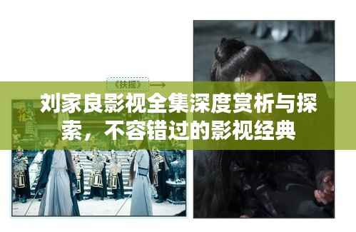 刘家良影视全集深度赏析与探索,不容错过的影视经典