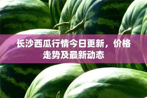 长沙西瓜行情今日更新,价格走势及最新动态