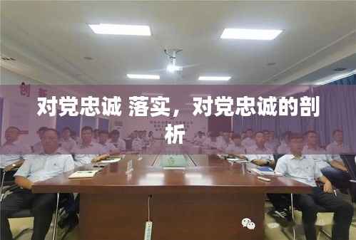 对党忠诚 落实,对党忠诚的剖析