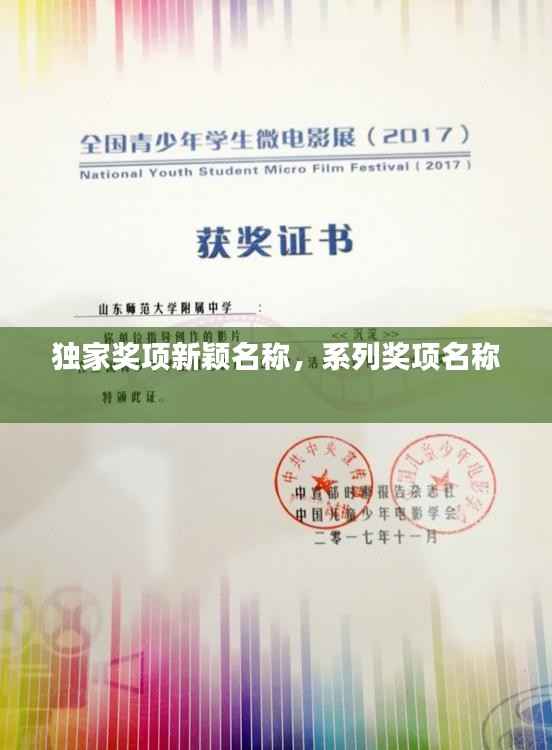 独家奖项新颖名称，系列奖项名称 