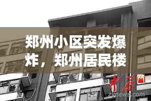 蛙鸣蝉噪 第2页