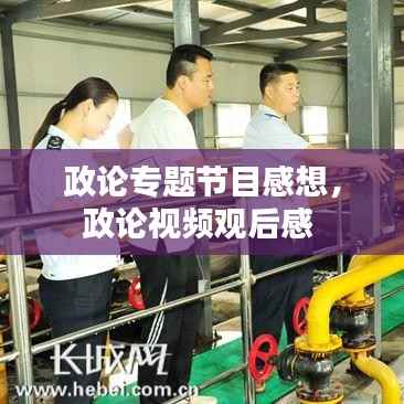 政论专题节目感想，政论视频观后感 