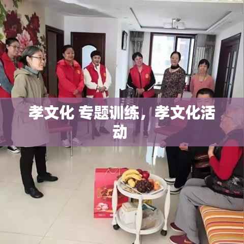 孝文化 专题训练,孝文化活动