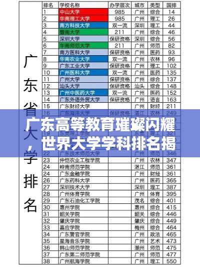 广东高等教育璀璨闪耀,世界大学学科排名揭示新高度