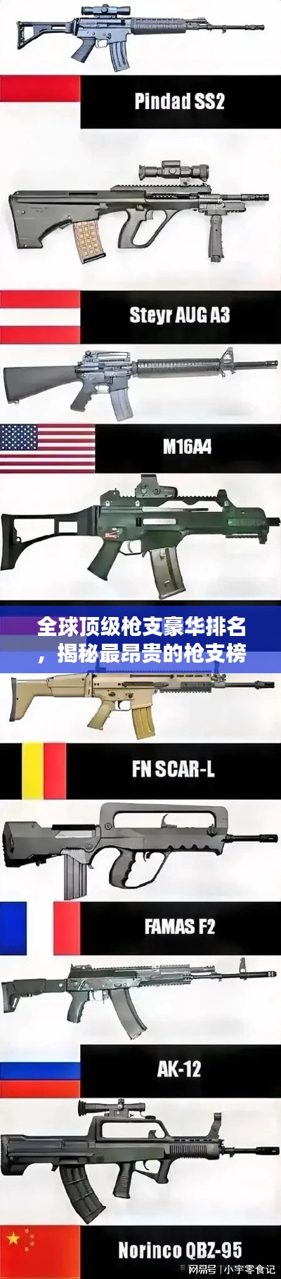 全球顶级枪支豪华排名，揭秘最昂贵的枪支榜单！