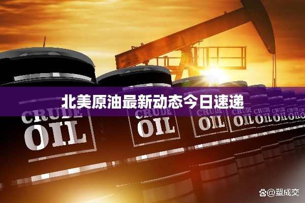 北美原油最新动态今日速递