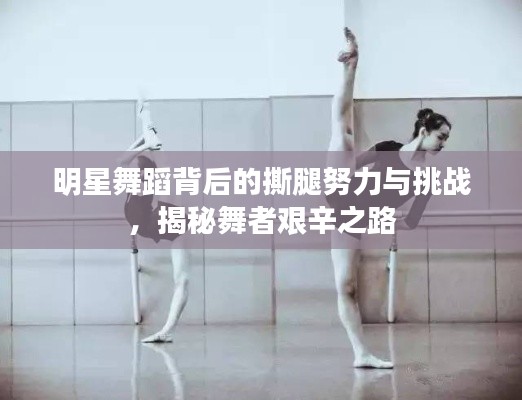 明星舞蹈背后的撕腿努力与挑战,揭秘舞者艰辛之路