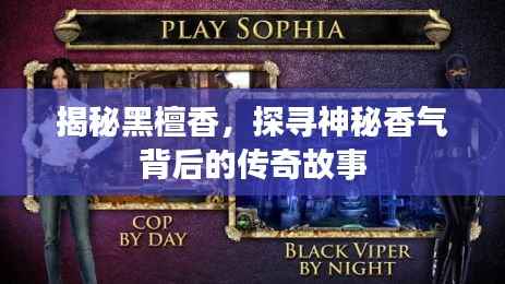 揭秘黑檀香，探寻神秘香气背后的传奇故事