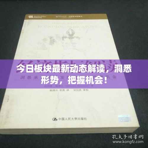 今日板块最新动态解读，洞悉形势，把握机会！