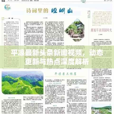 平凉最新头条新闻视频，动态更新与热点深度解析