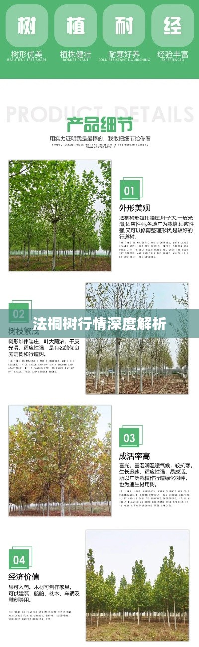 勇往直前 第2页