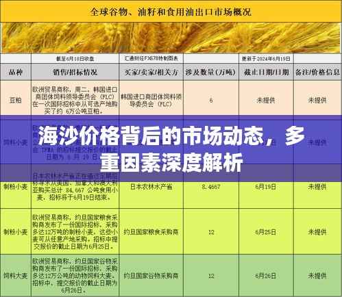 海沙价格背后的市场动态,多重因素深度解析