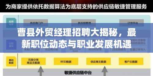 曹县外贸经理招聘大揭秘,最新职位动态与职业发展机遇