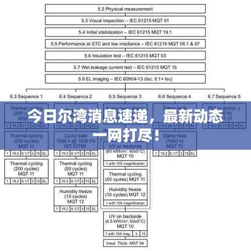 今日尔湾消息速递,最新动态一网打尽!