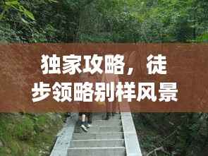 独家攻略，徒步领略别样风景，5公里徒步旅行体验分享
