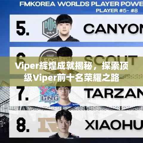 Viper辉煌成就揭秘,探索顶级Viper前十名荣耀之路