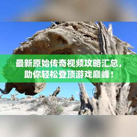 最新原始传奇视频攻略汇总，助你轻松登顶游戏巅峰！