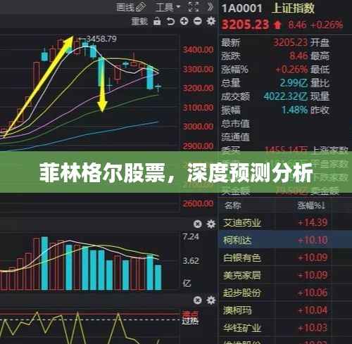 菲林格尔股票，深度预测分析